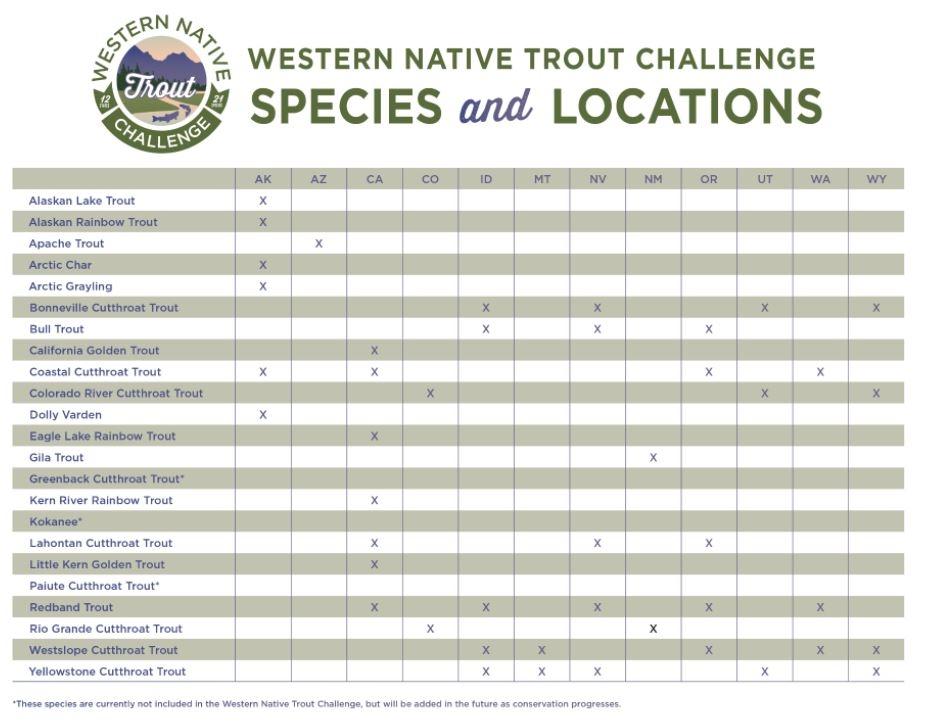 Western-Native-Trout-Challenge