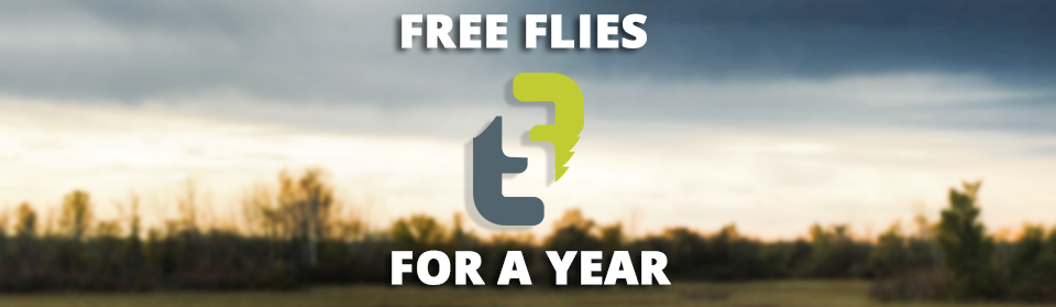 Free Flies for a year