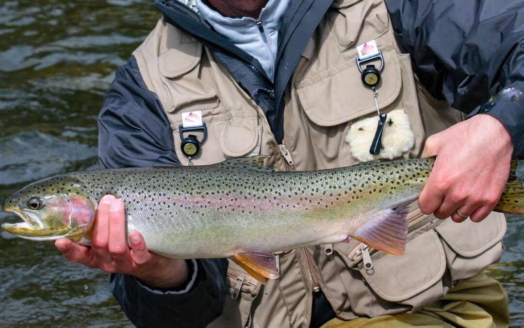 Ten Trout Flies for Spring to Help You Conquer Every Stream