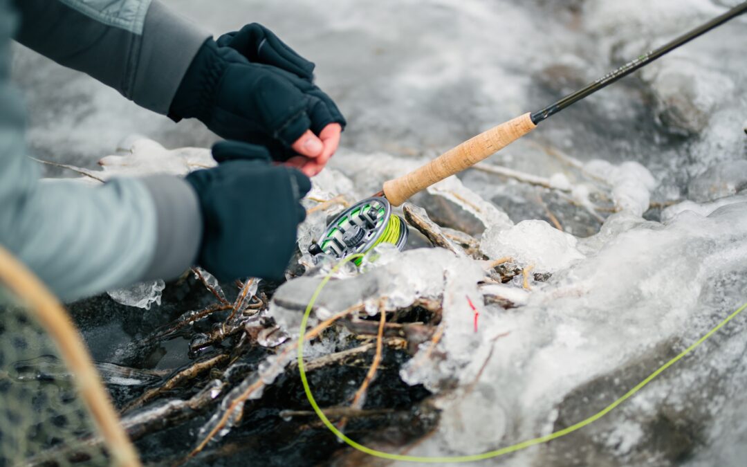 Cold Water Winners: 11 Must-Have Winter Flies for Trout