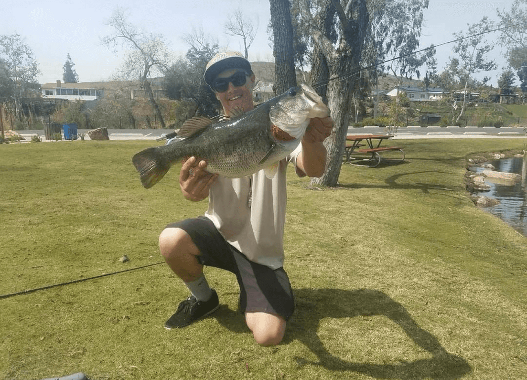 Fly Fishing For Bass – Features and Forage