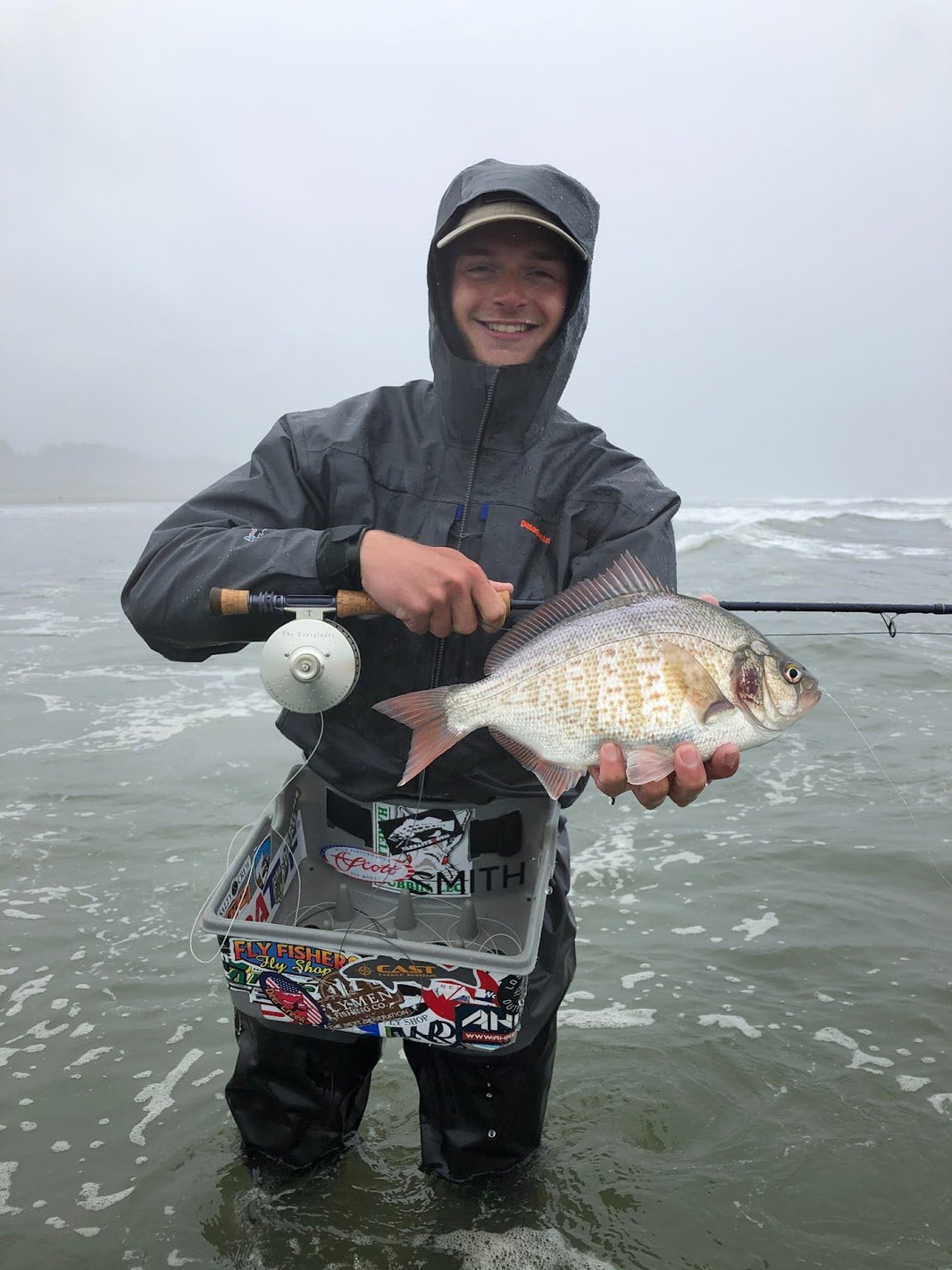 Fly Fishing for Redtail Surfperch