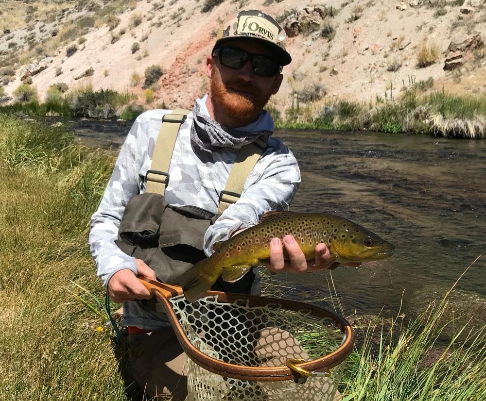 Best Grasshopper Patterns