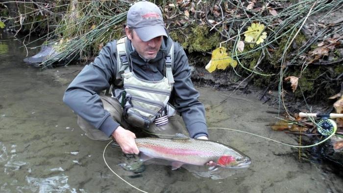 7 Best Egg Patterns for Fly Fishing