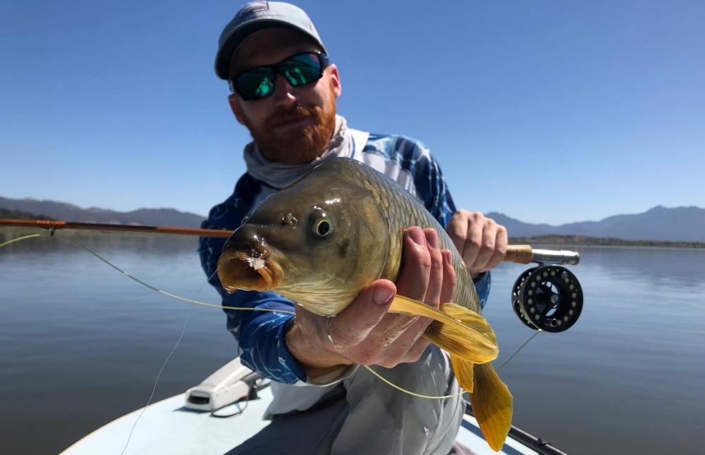 Top 10 Best Carp Flies