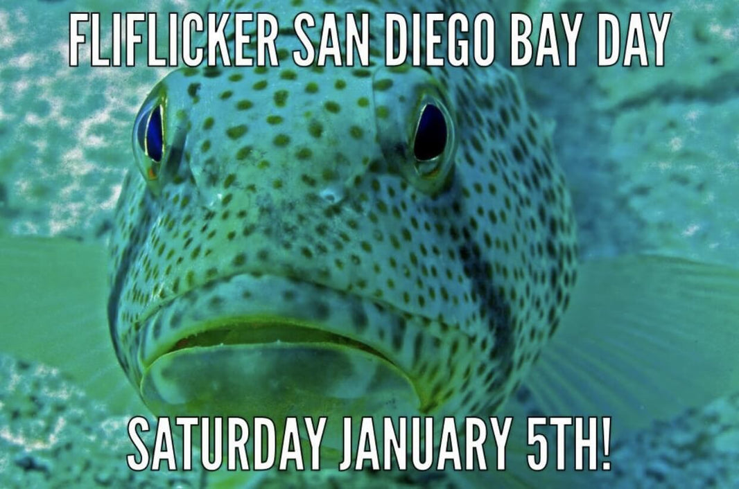 FliFlicker SD Bay Day 2019