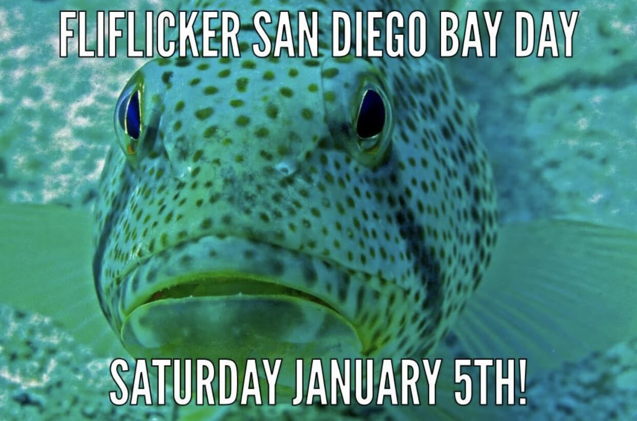 FliFlicker SD Bay Day 2019
