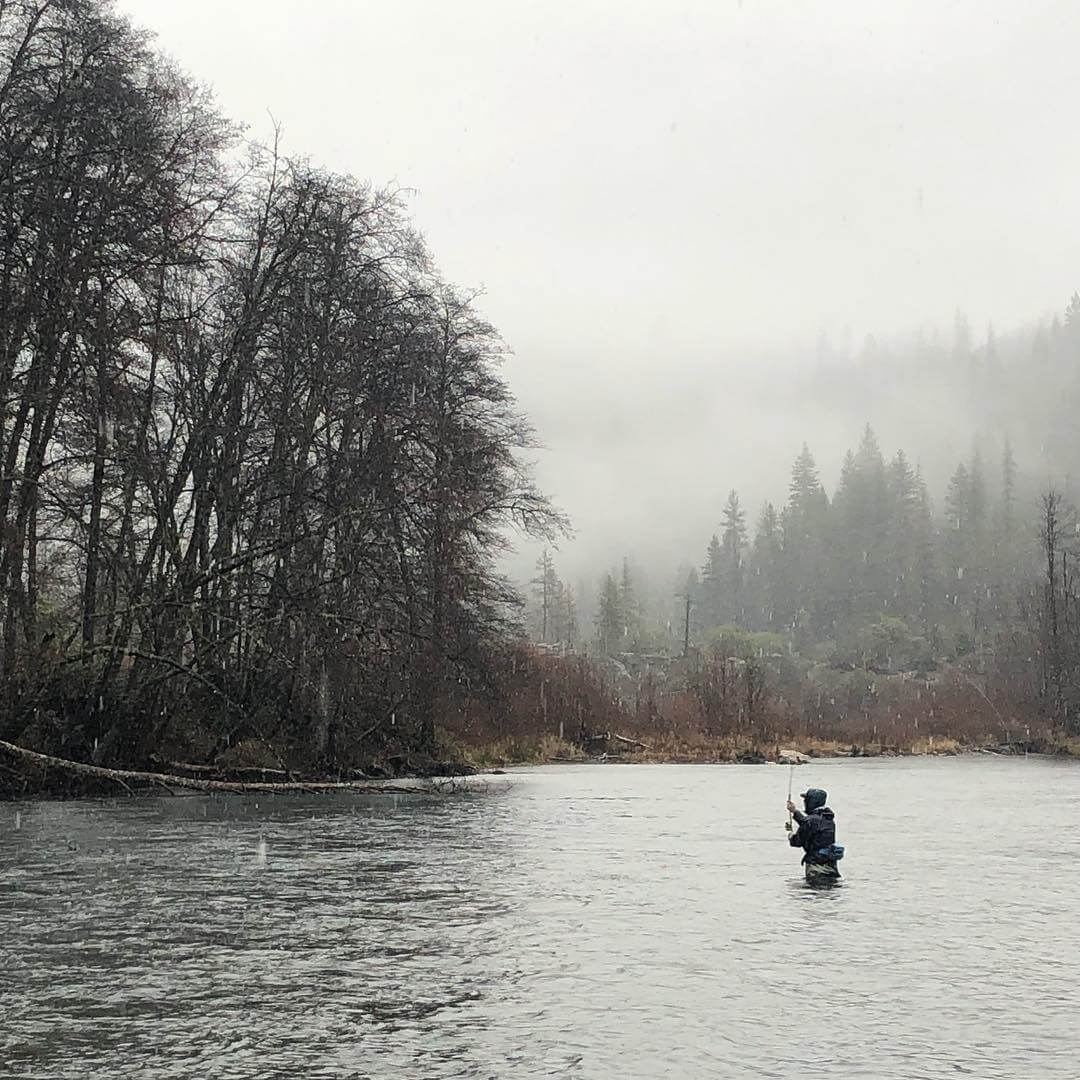 Northern California Fly Fishing Report 2-17-19