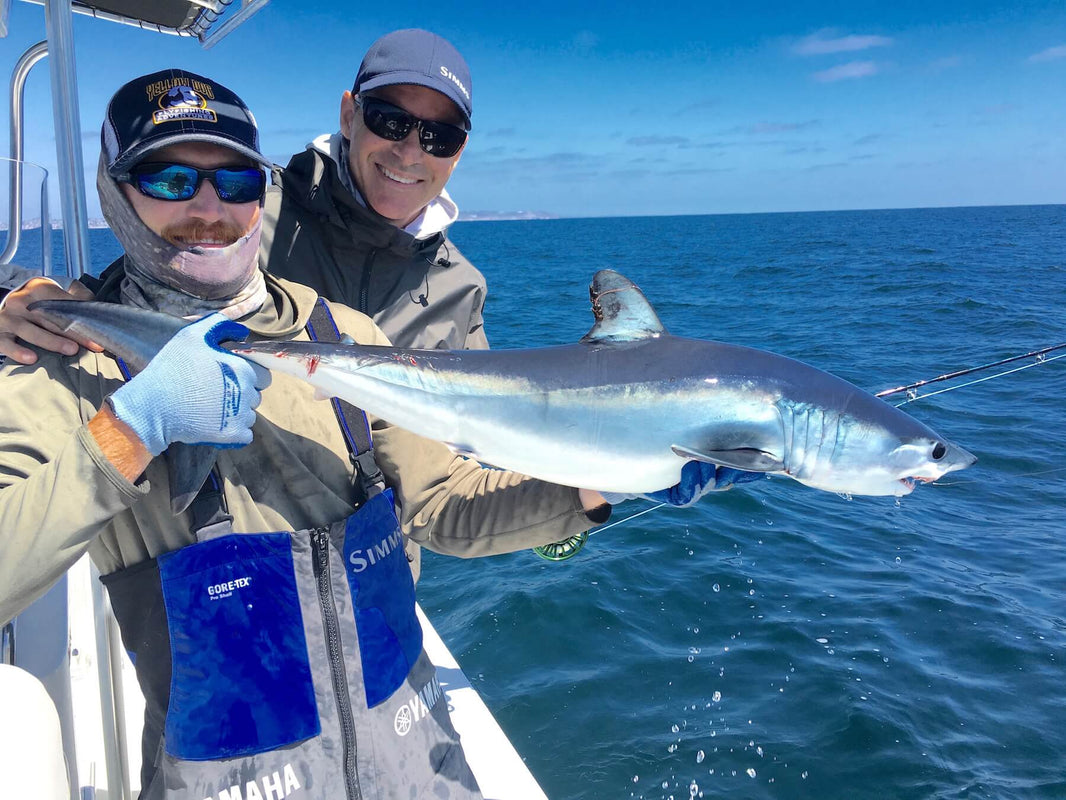 The Sharks Just Keep Coming