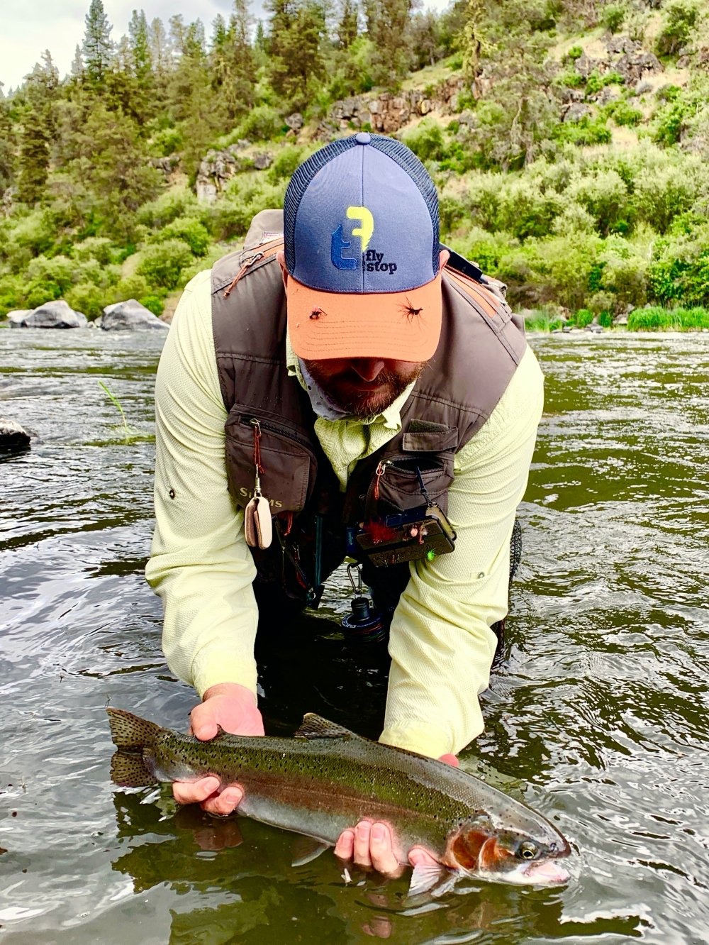 Native Trout