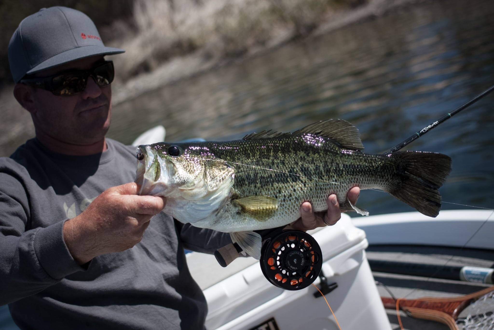 Fly Fishing For Bass – Spring Time