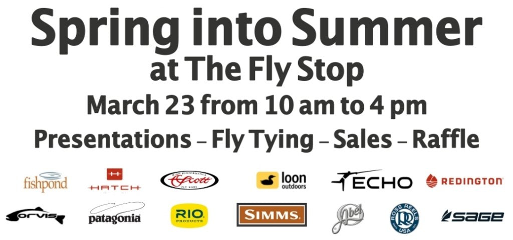 Spring into Summer 2019