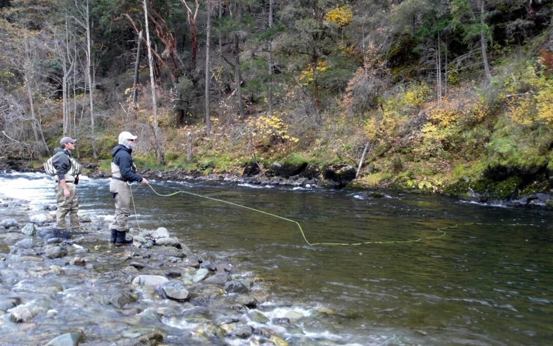 Best Steelhead Flies – Nymphs