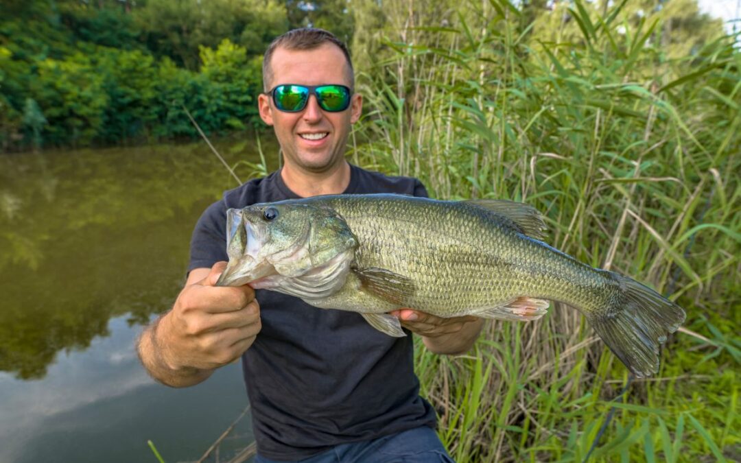 The 5 Best Largemouth Bass Flies Every Angler Should Pack