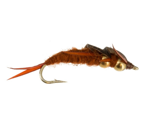 2 Bead Stonefly, Brown