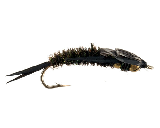 2 Bead Stonefly, Peacock