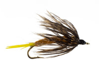 2B Golden Stonefly