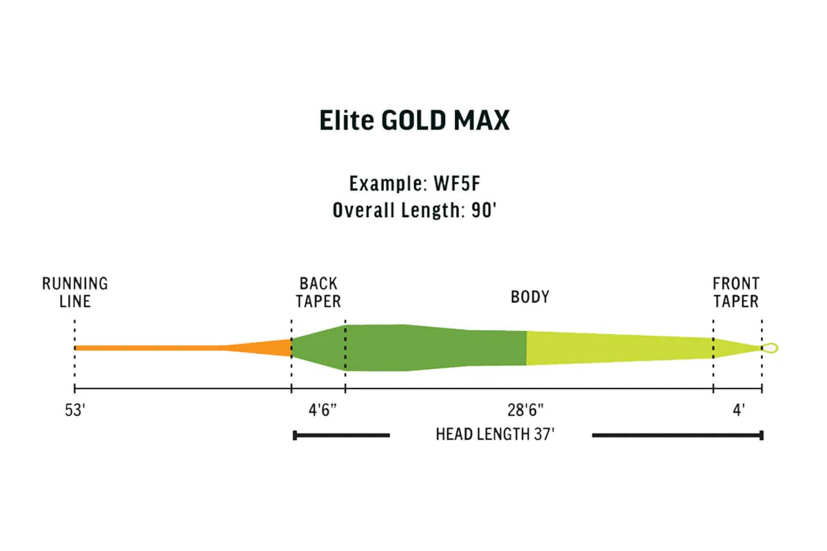 Rio Gold Max Elite Fly Line