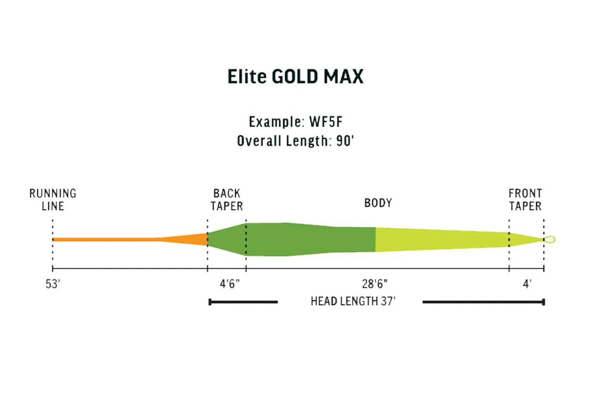 Rio Gold Max Permier Fly Line