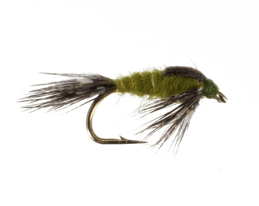 All Purpose Nymph, Olive