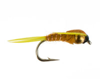 Amber Stonefly