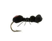 Ant, Foam