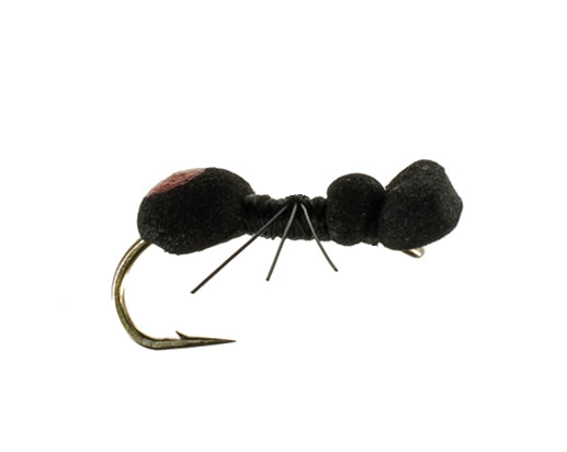 Ant, Foam