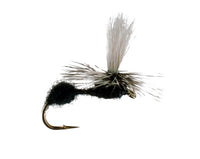 Ant, Parachute