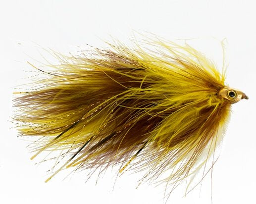 Apollo, Bighorn Tandem