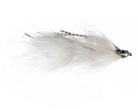 Apollo, Albino Tandem