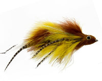 Baby Chicken, Brown and Yellow