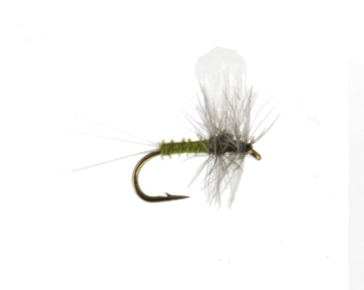 Baetis Dun