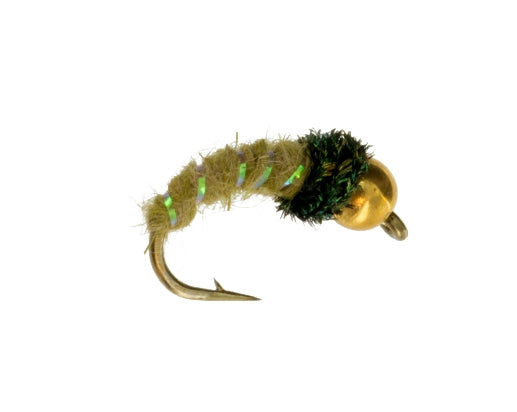 Beadhead Caddis Olive Fly Fishing Trout pattern