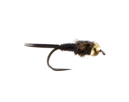 Beadhead Copper John, Black Barbless