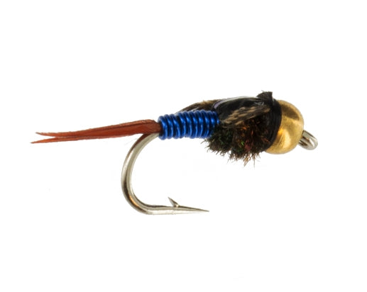 Blue Beadhead Copper John Nymph Fly Fishing Trout Patter