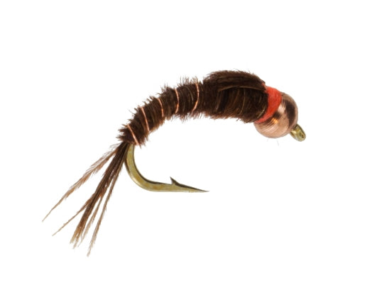 Beadhead Copper Spot