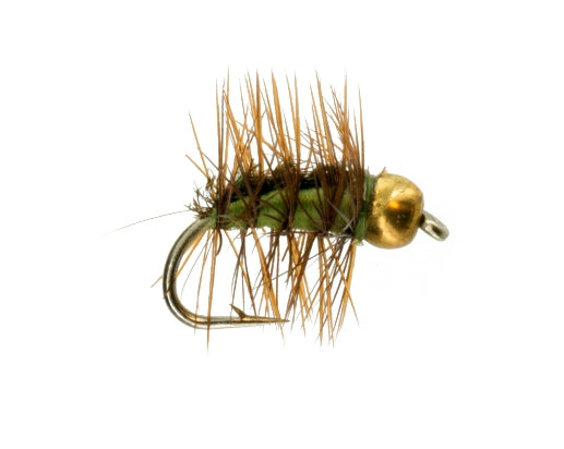 Beadhead Crackleback, Olive
