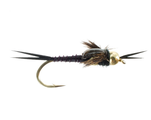 Beadhead Double Tungsten Epoxy Stonefly, Black