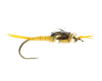 Beadhead Double Tungsten Epoxy Stonefly, Golden