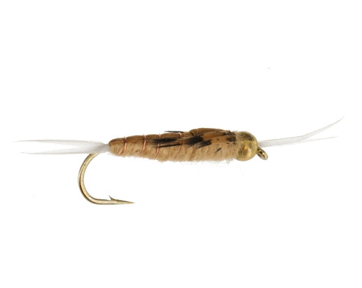 Beadhead Dragon Stonefly