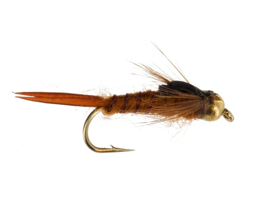 Beadhead Early Stonefly, Brown
