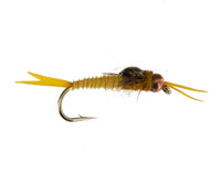 Beadhead Epoxy Micro Stonefly, Golden