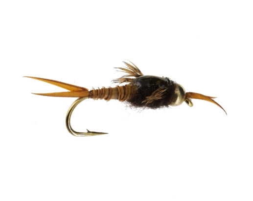 Beadhead Epoxy Stonefly, Biot