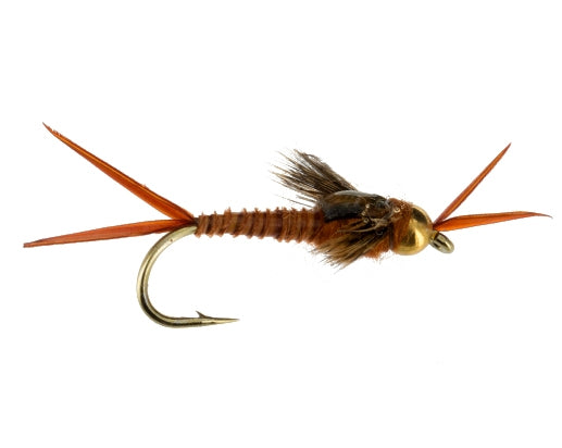 Beadhead Epoxy Stonefly, Dark