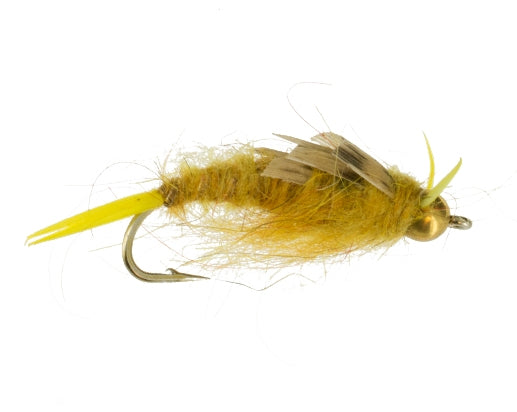 Beadhead Kaufmann Stonefly, Golden