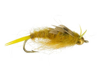 Beadhead Kaufmann Stonefly, Golden