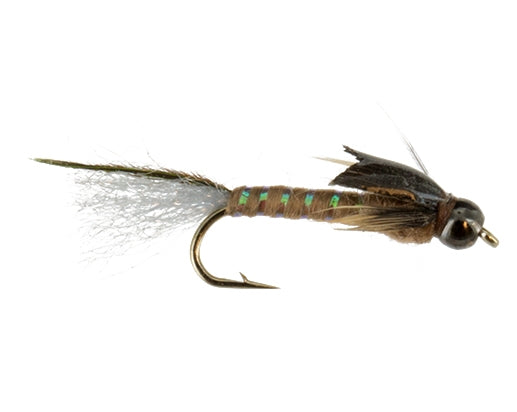 Beadhead Magic May, Callibaetis