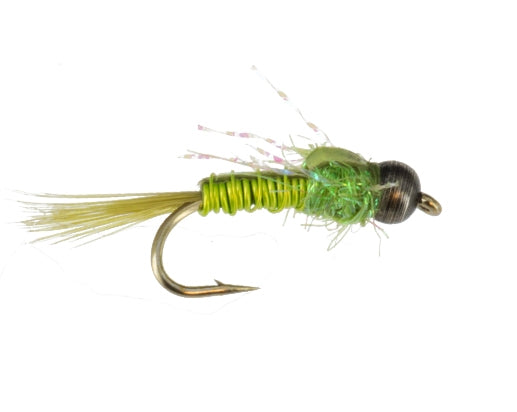 Beadhead Pickpocket Nymph