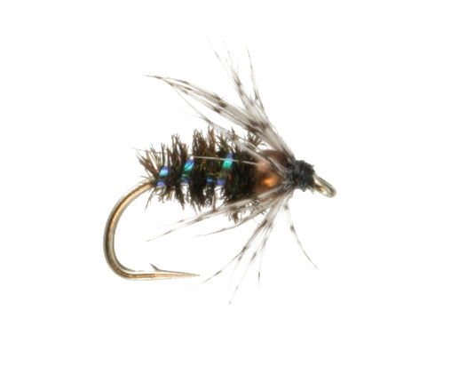 Beadhead Soft Hackle, Peacock