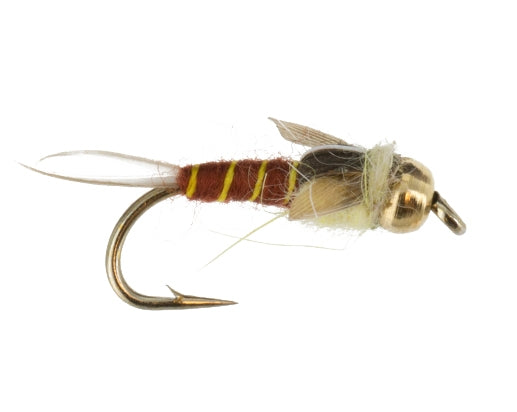 Beadhead Steely Stonefly, Yellow